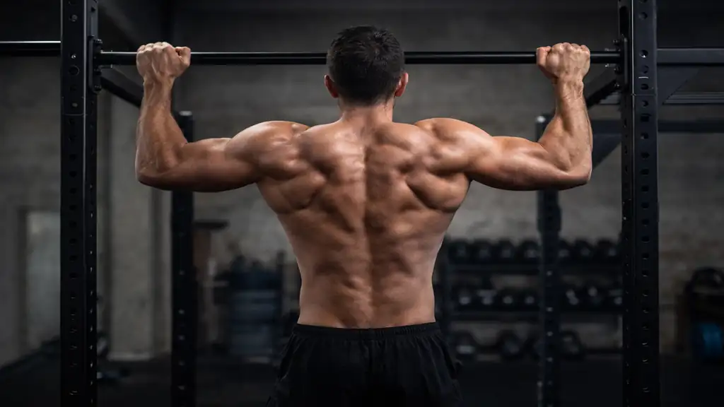 Homme réalisant des tractions à la barre fixe en salle de sport, mettant en évidence les muscles du dos pour illustrer des exercices dos efficaces